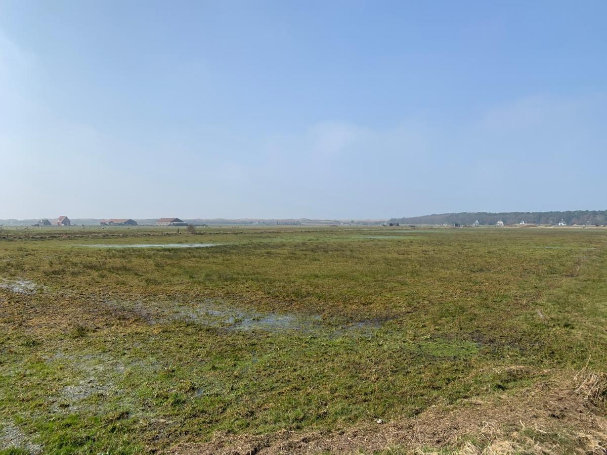 Onder De Pannen Villa Hollum  Bagian luar foto